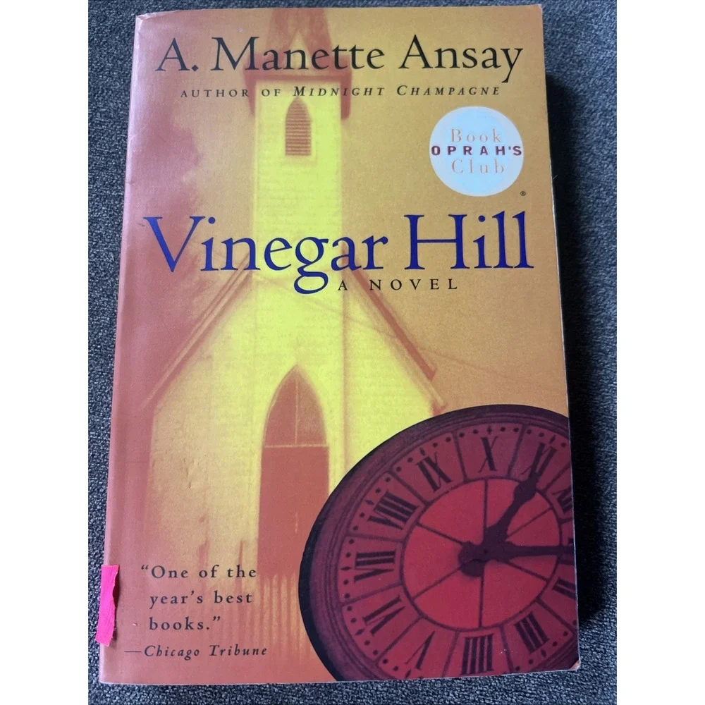 Vtg 1998 Vinegar Hill A Manette Ansay Oprahs Book Club Paperback Novel Avon